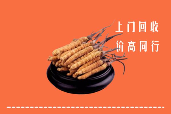 高价求购：云浮市云城回收散虫草