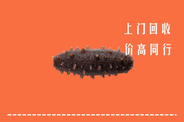 云浮市云城回收海参