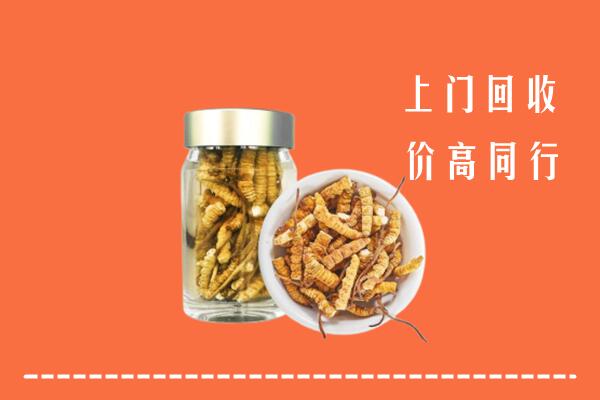 云浮市云城回收冬虫夏草